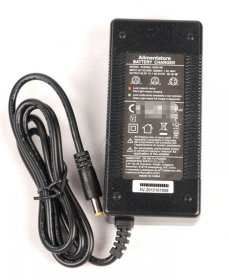 Platum Pillar - Apr-002 Charger 42v 1 5a