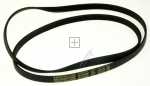Poly v belt J - C00344356 481935818124 Belt 1313j5 El [Whirlpool Indesit]