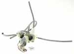 Solenoid Valve For Espresso Machines - Ms-5a21251 Divider [Groupe SEB]