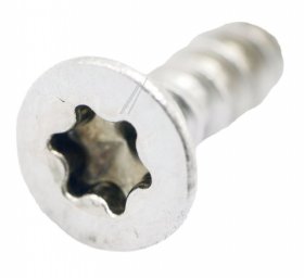 Hisense Gorenje Screw - 570424 Screw Pt4x13-cfh-t20-f-a2-20h-nn
